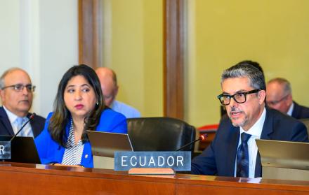 El vicecanciller, Alejandro Dávalos, planteó ante la OEA la actualización de las normas sobre asilo diplomático, tras el impasse con México.