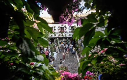 Cincuenta años velando para que los patios formen parte de la historia de Córdoba