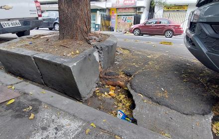 Calles y jardineras dañadas