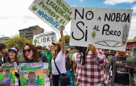 Una marcha en Quito pide que se legalice el cultivo del cannabis