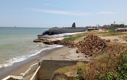 Playa Delfín