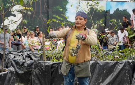 El evento en este 2024 contará con la recreación de un manglar viviente.