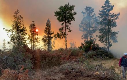incendios forestales