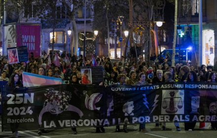 Un momento de la manifestación que ha recorrido este 25N las calles de Barcelona.