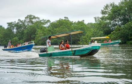 Conservación de manglar en Esmeraldas