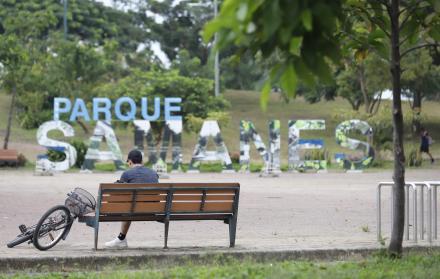 PARQUE SAMANES (10728791)
