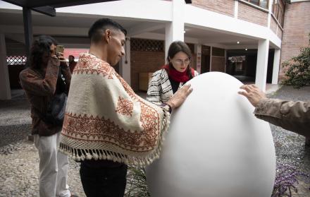INSTALACION EDGAR DE (14195228)