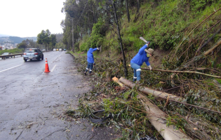 En la avenida Mariscal Sucre y La Gasca hubo un deslizamiento de tierra y se cayeron árboles.
