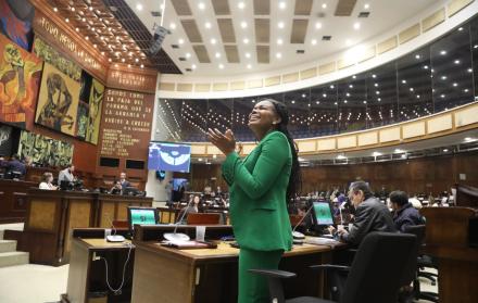 La correísta Paola Cabezas planteó la moción para que se fiscalice el derrame de crudo.