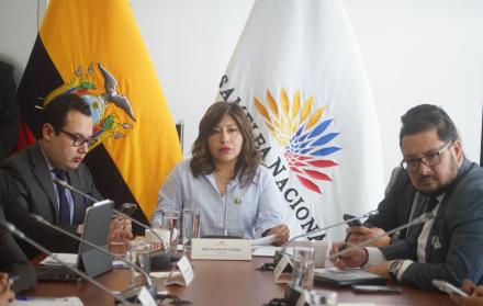 La presidenta de la Comisión de Seguridad, Inés Alarcón.