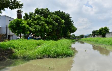 DENGUE EN GUAYAQUIL