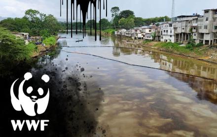 WWF
