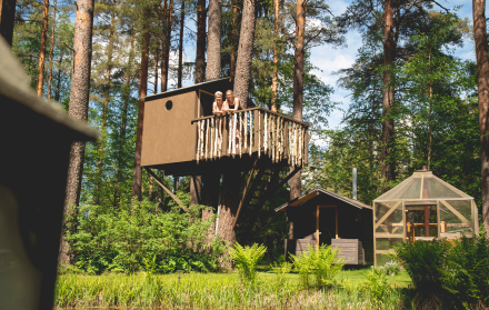 Sauna en el árbol (Puumajasauna)- Urpola