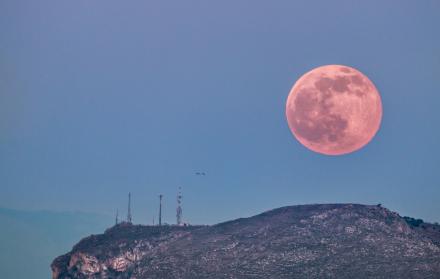 Luna rosa referencial