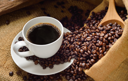 Descubre los mejores cafés del mundo