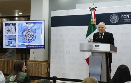 Fiscalia mexicana
