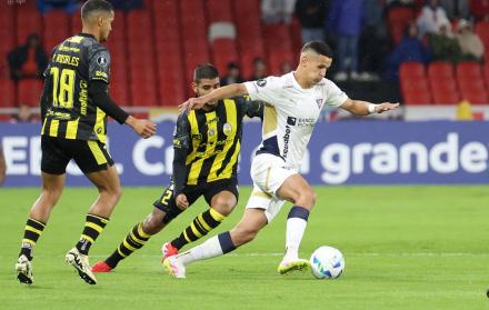 Liga de Quito vs. Deportivo Táchira, Copa Libertadores, fase de grupos, LDU vs. Táchira, día, hora, dónde ver, canal, streaming