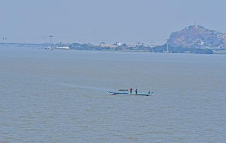 Fluvivía Río Guayas