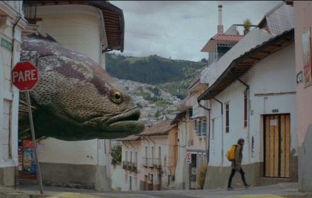 ALUCINA PELICULA 2