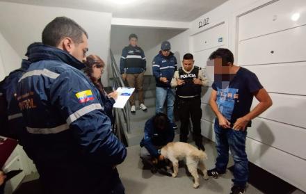maltrato animal