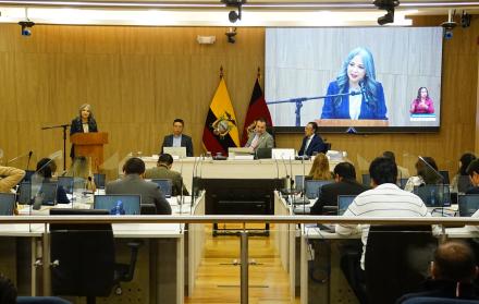 Los concejales Juan Báez y Ángel Vega fueron los encargados de mocionar los nombres de Racines y de Cahueñas.