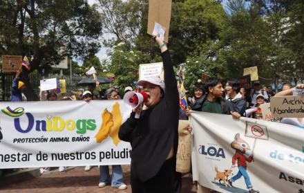 protesta por la ley LODA