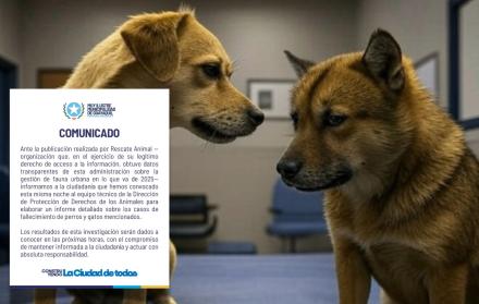 Perros