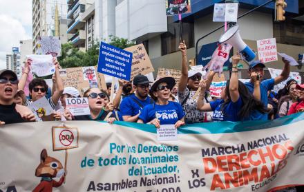 marcha nacional por los derechos de los animales Guayaquil feb 25 CORTESÍA