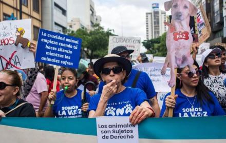 Fundación Rescate Animal