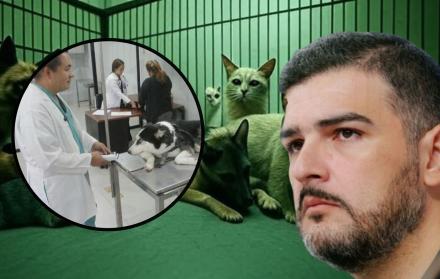 Aquiles Animal