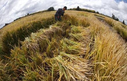 Mundo, Chile, Investigación científica, Cambio climático, Agricultura