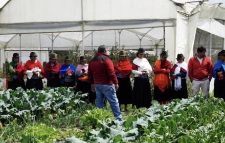Mujeres indígenas de Ambato