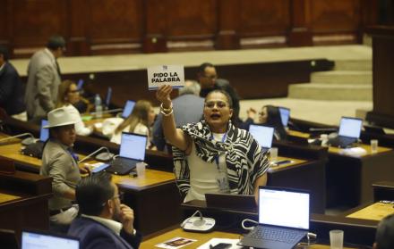 El miércoles 21 de mayo de 2025, el correísmo llegó con carteles al Pleno como forma de reclamo.