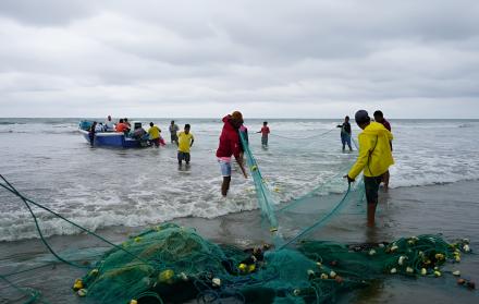 PESCA ORILLA