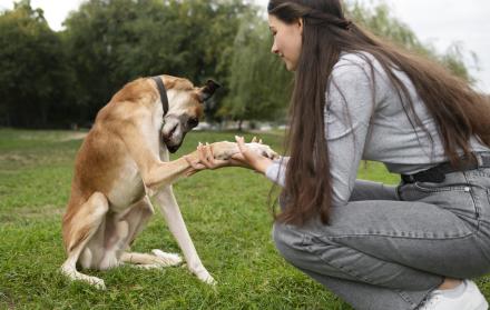 vista-lateral-mujer-entrenando-perro-al-aire-libre