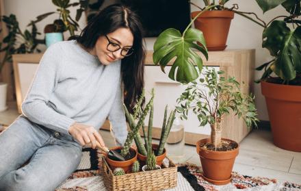 JARDINERIA Y HUERTO EN CASA