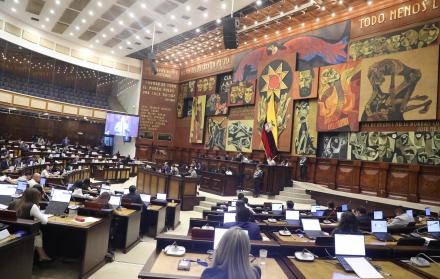 El Pleno de la Asamblea conoció en primer debate la ley urgente para desarticular las economías criminales.
