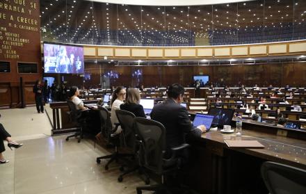 ASAMBLEA NACIONAL MISHEL MANCHENO