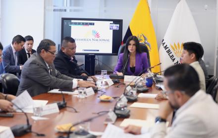 La Comisión de Participación está presidida por la legisladora oficialista Dian Jácome.