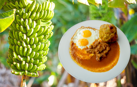 Platano Verde sube de precio en Guayaquil