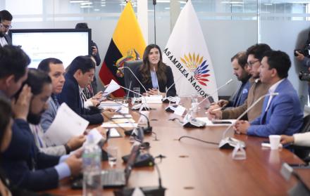 Valentina Centeno es la presidenta de la Comisión de Desarrollo Económico que trata el proyecto urgente.