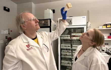 Las moscas revelan la biología de la adicción a la cocaína, llave para impulsar terapias.