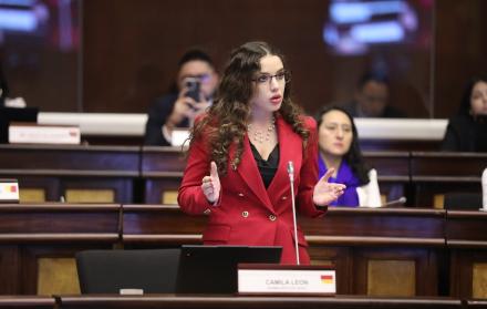 La presidenta de la Comisión de Biodiversidad Camila León fue la encargada de mocionar el archivo de la LOPDA.