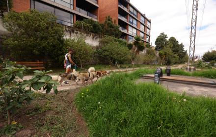 Jardín silvestre Quito