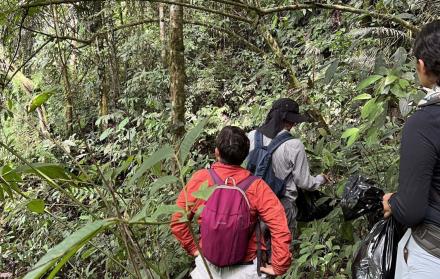 Investigación en la Amazonía