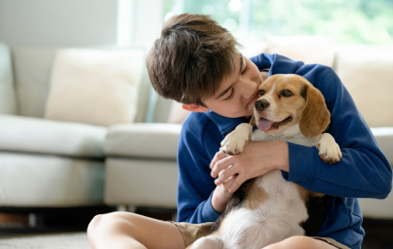 Acariciar perros reduce el estrés y mejora tu estado emocional, según la psicología.