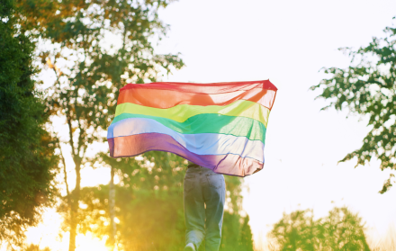 Referencial. Bandera de la comunidad LGBTI.