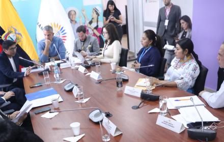 La Comisión de la Niñez criticó que las reformas de los adolescentes infractores se trate en el proyecto de Ley de contratación.