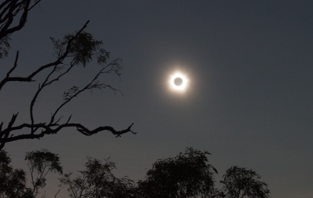 Calendario 2025 de eclipses: dos parciales de sol y dos totales de Luna, incluidas fechas y horarios para verlos.