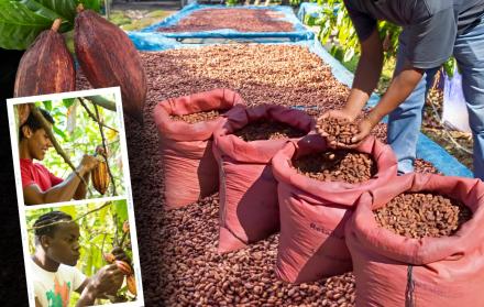 Empleo Agro Joven